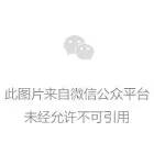 基层艺讯 | “点单式”中国画写生创作培训走进扎赉特旗 第3张